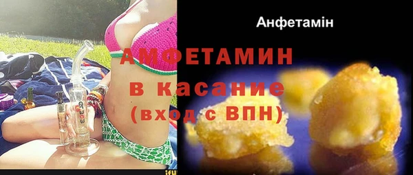 крисы Надым