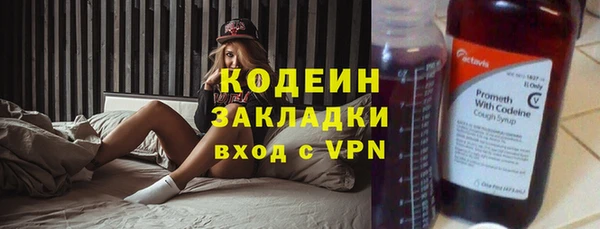 крисы Надым