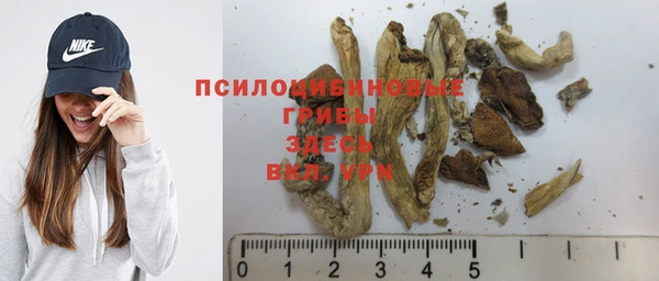 крисы Надым