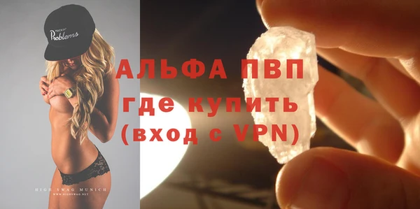 крисы Надым