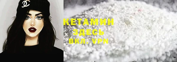крисы Надым