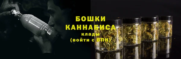 PSILOCYBIN Богородск