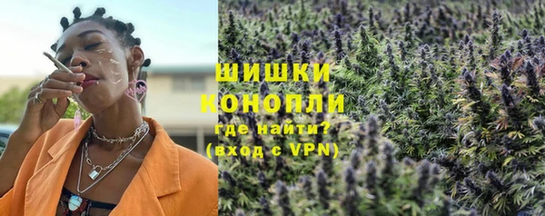 ПСИЛОЦИБИНОВЫЕ ГРИБЫ Нея