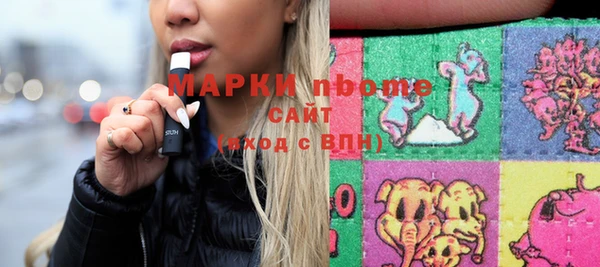 крисы Надым
