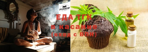 крисы Надым