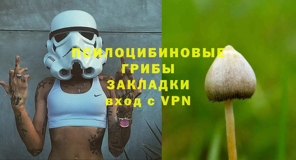 PSILOCYBIN Богородск