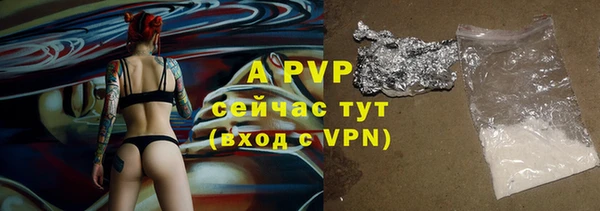 крисы Надым