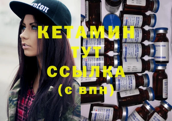 крисы Надым