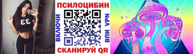 Псилоцибиновые грибы MAGIC MUSHROOMS где найти наркотики blacksprut зеркало Хабаровск