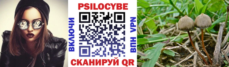 Галлюциногенные грибы Psilocybine cubensis Хабаровск