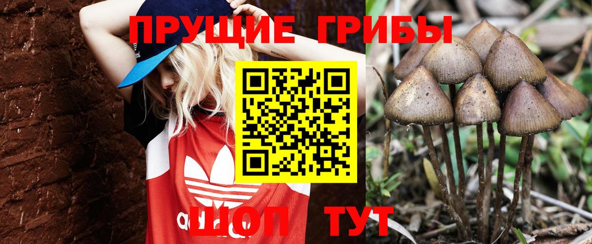 Хабаровск  Галлюциногенные грибы Cubensis  как найти наркотики  Вход с VPN 